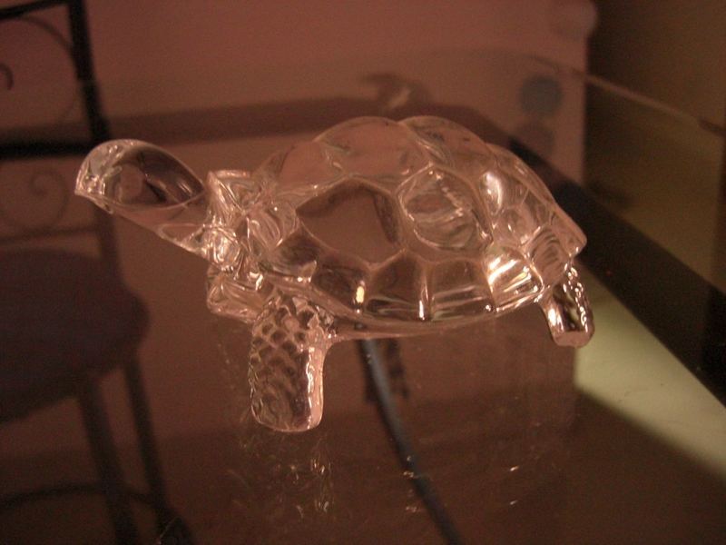Feng Shui Tortoise on Plate (Private Label)