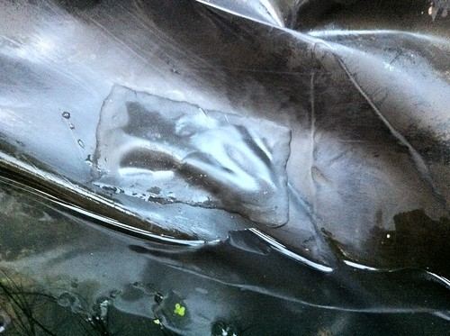 HDPE Pond Liner