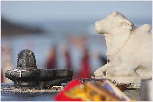 Narmadeshwar Shivling with Brass Base (Private Label)