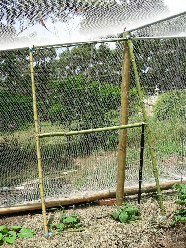 Trellis Support Net